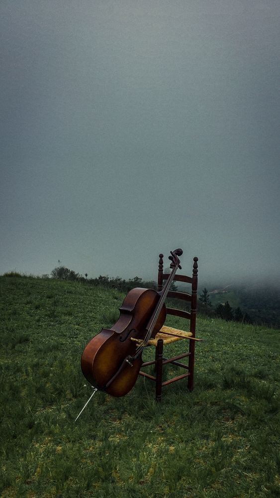 Cello är ett populärt instrument